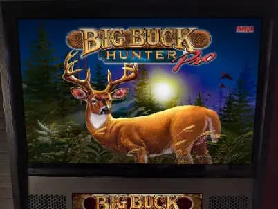 Big Buck Hunter Pro (Stern 2010)